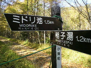 ミドリ池
